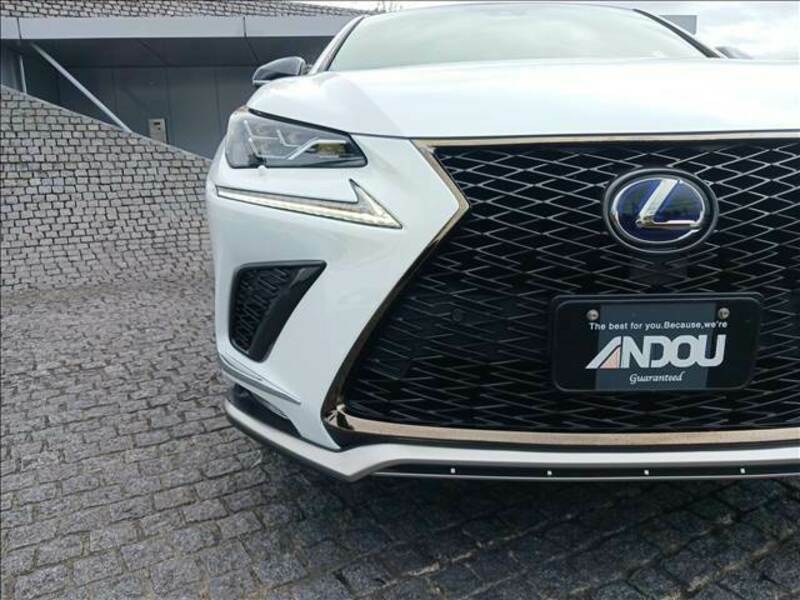 NX