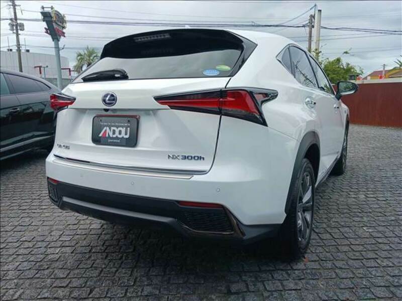 NX