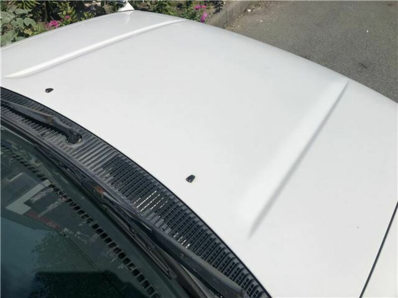 HILUX SURF