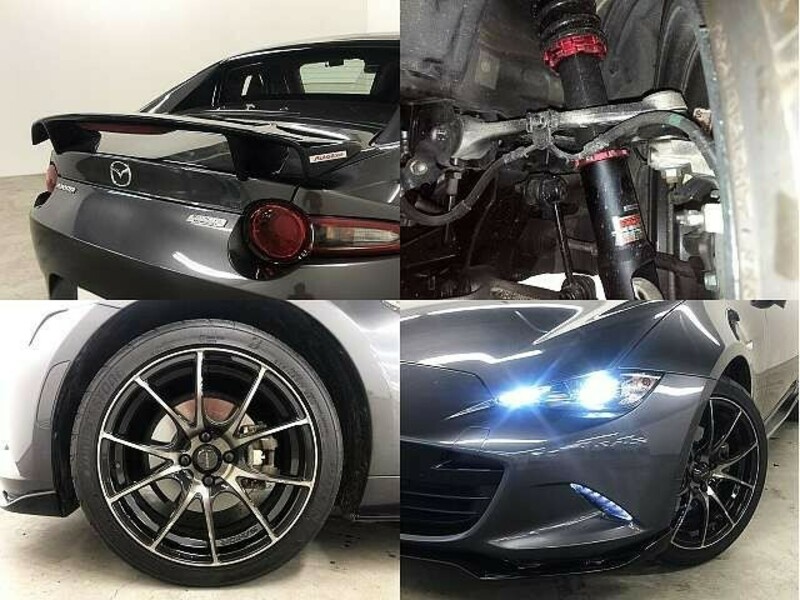 ROADSTER RF