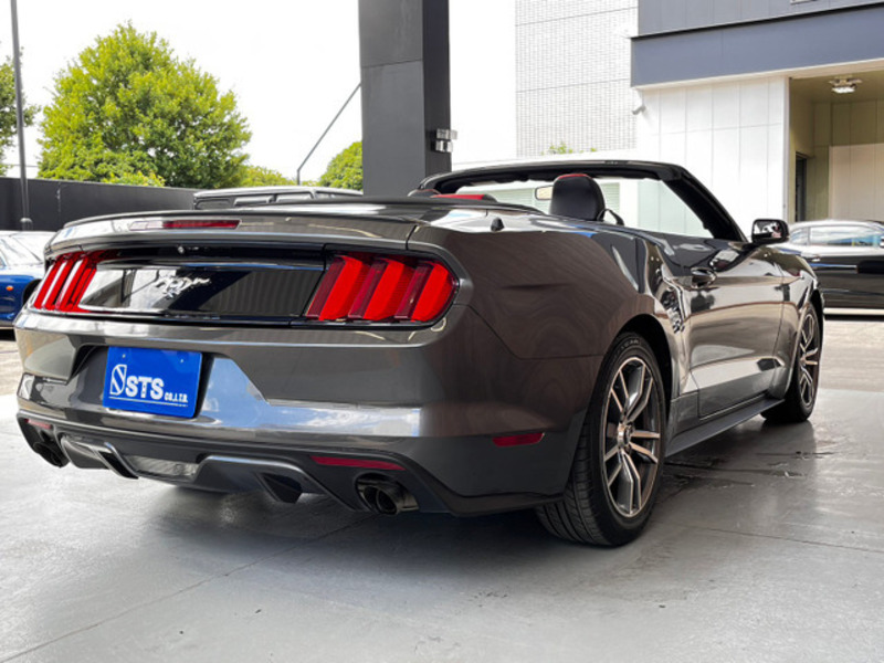 MUSTANG
