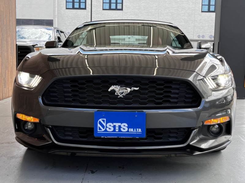 MUSTANG