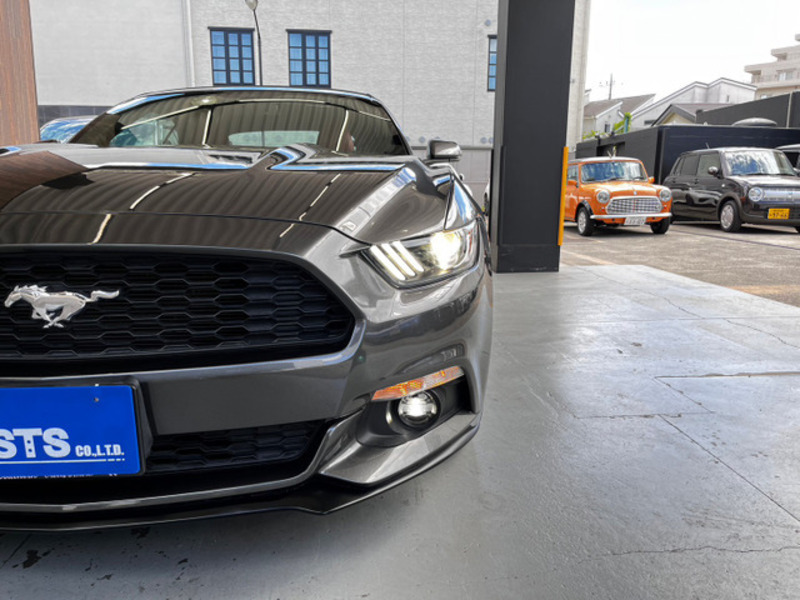 MUSTANG