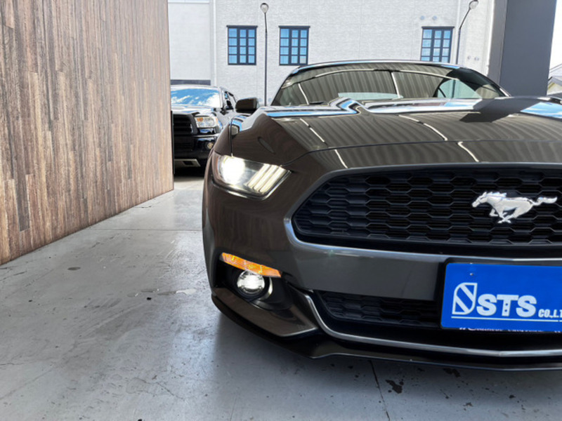 MUSTANG
