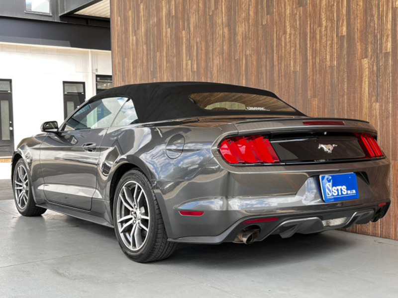 MUSTANG