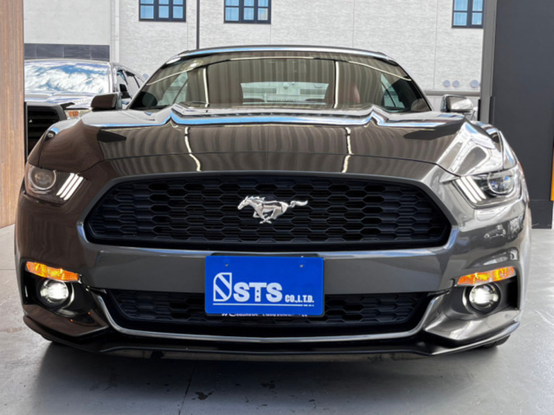 MUSTANG