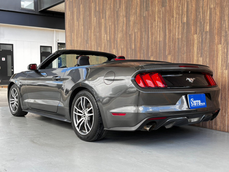 MUSTANG