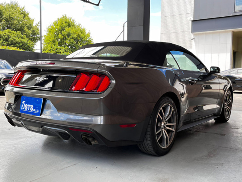 MUSTANG