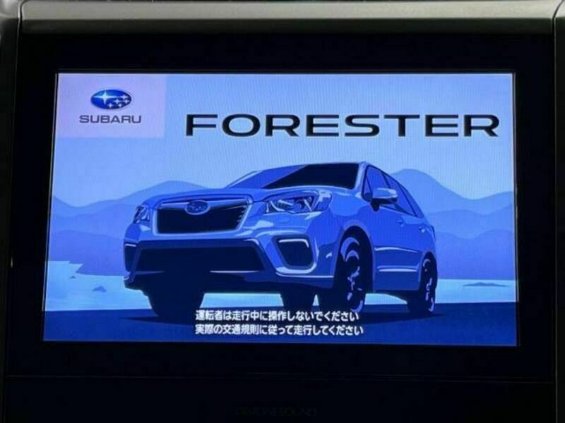 FORESTER