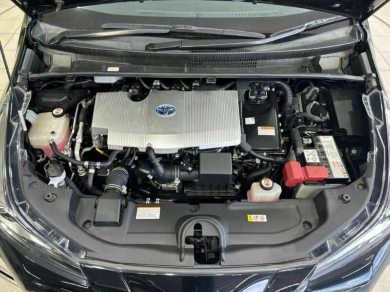 PRIUS-18