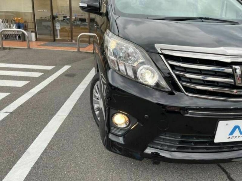 ALPHARD-16