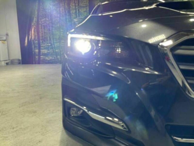 LEVORG-12