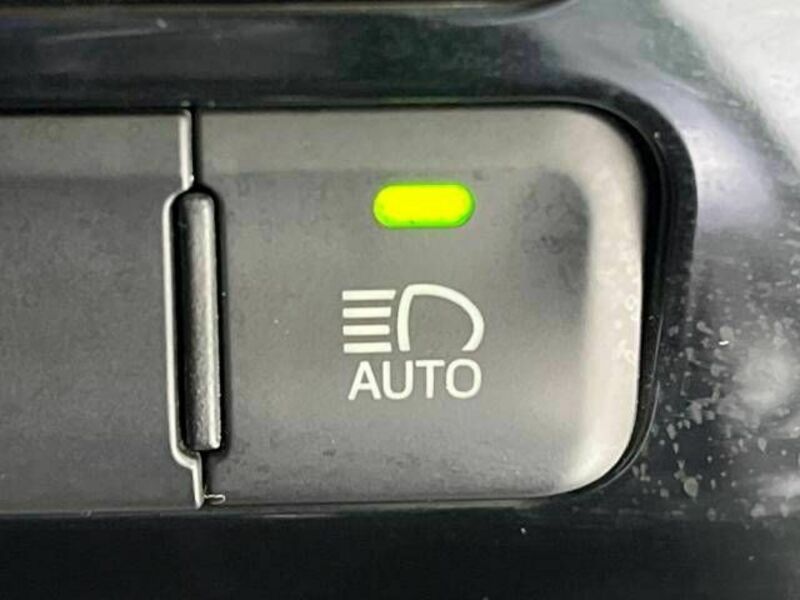 PRIUS-6
