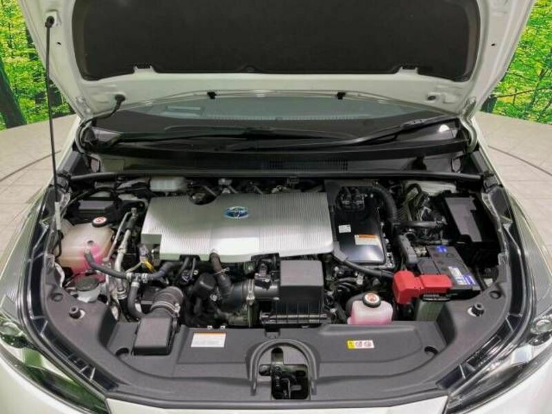 PRIUS-18