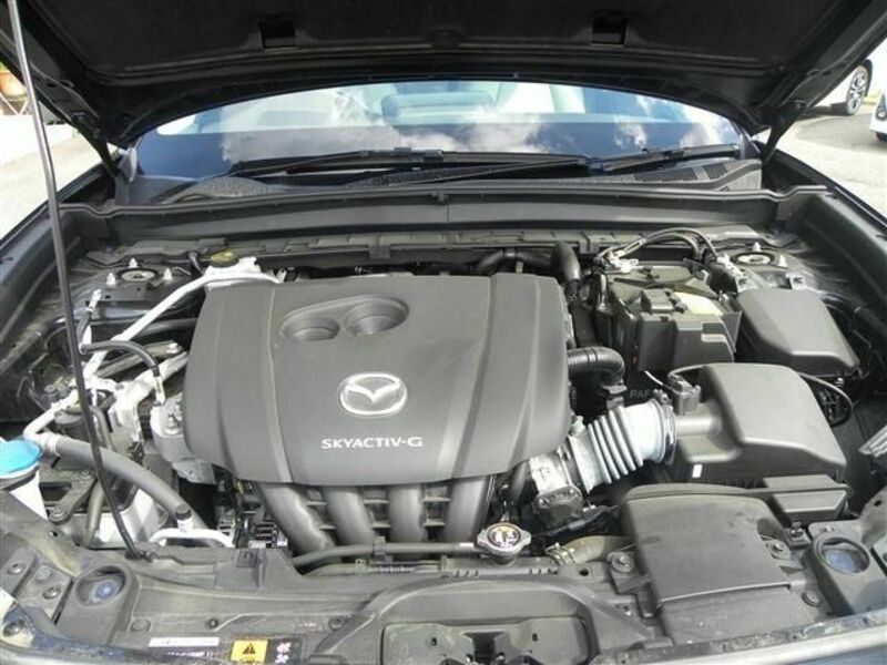 CX-30-21