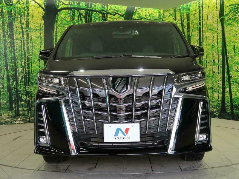 ALPHARD-43
