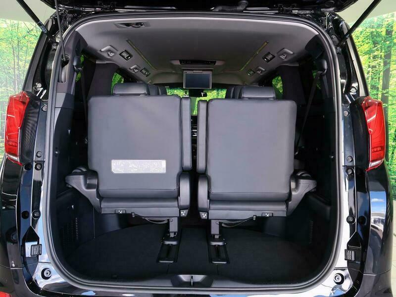 ALPHARD-8