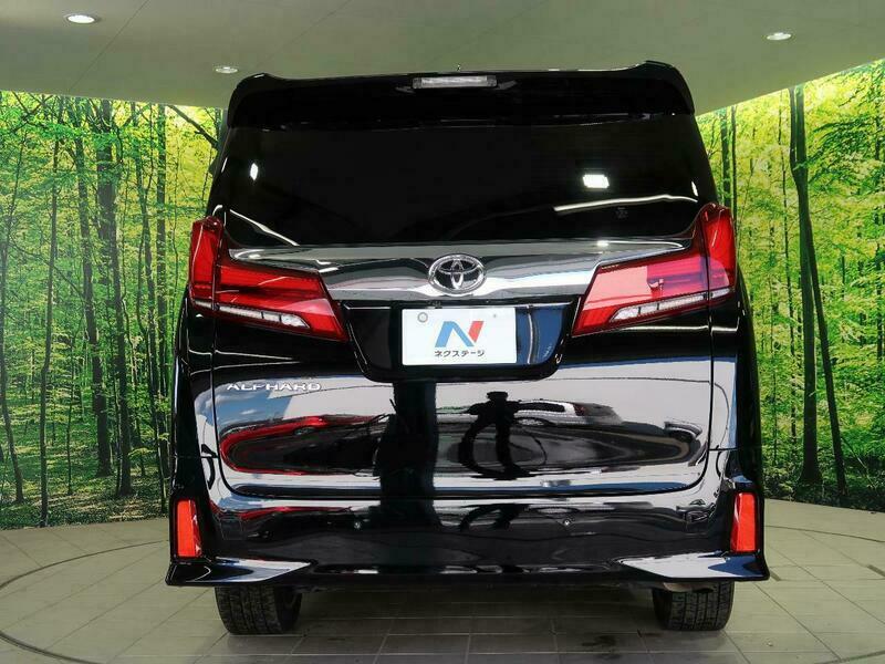 ALPHARD-14