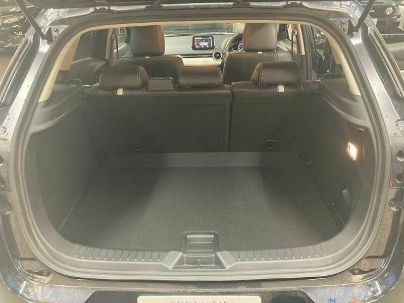 CX-3-18
