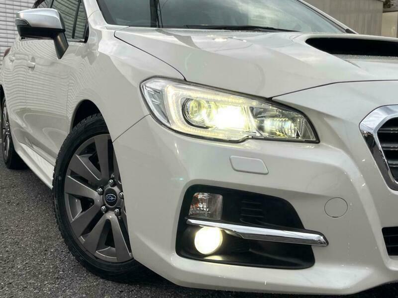 LEVORG-10
