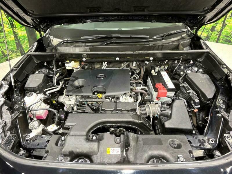 RAV4-33