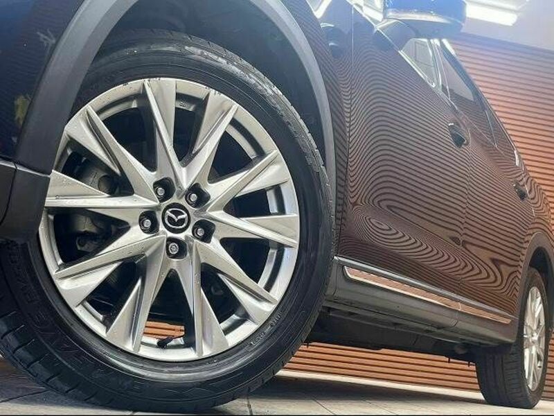 CX-8-10