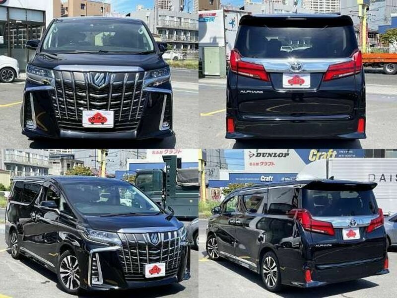 ALPHARD-8