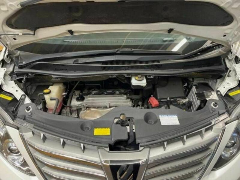 ALPHARD-19
