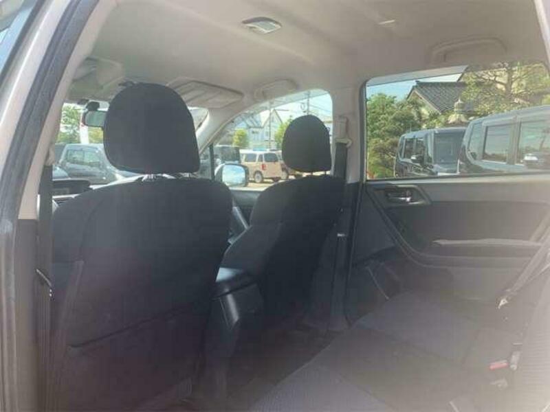 FORESTER-19