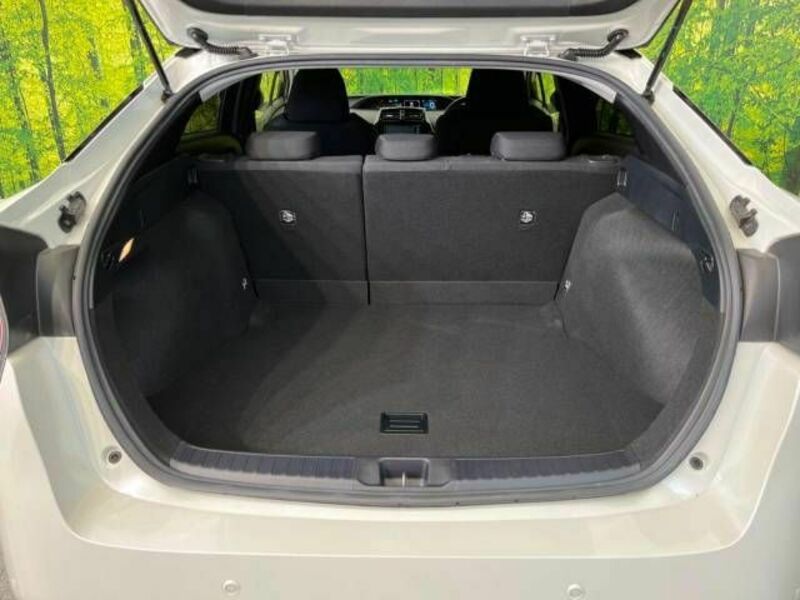 PRIUS-10