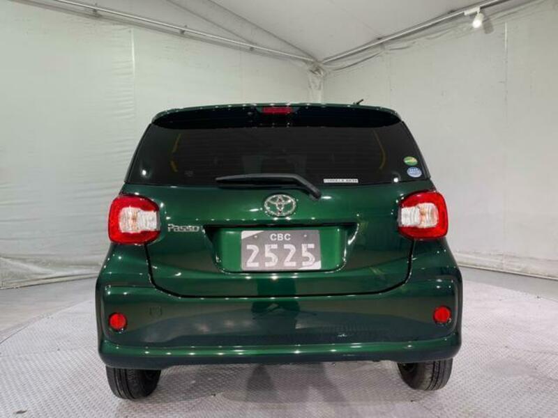 PASSO-15