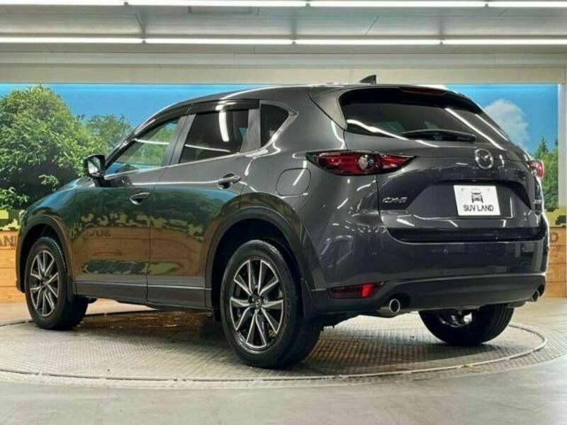 CX-5-17