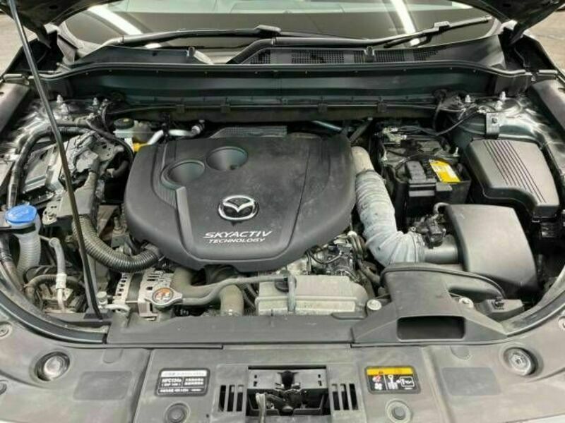 CX-5-18