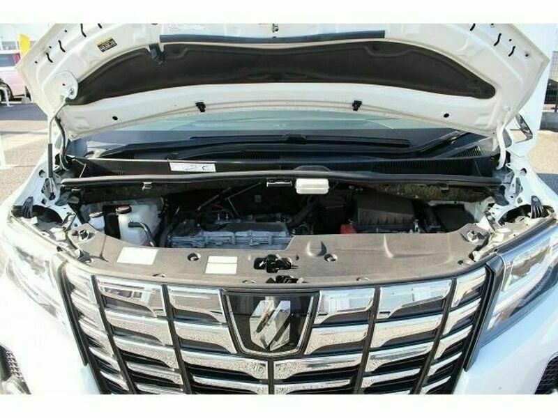 ALPHARD-18
