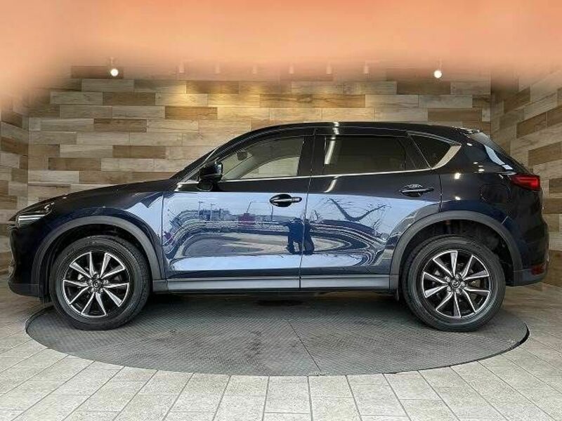 CX-5-13