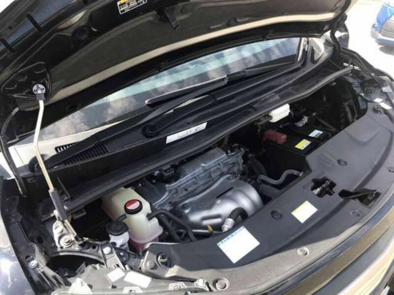 ALPHARD-19
