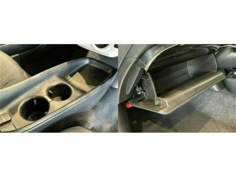 PRIUS-21