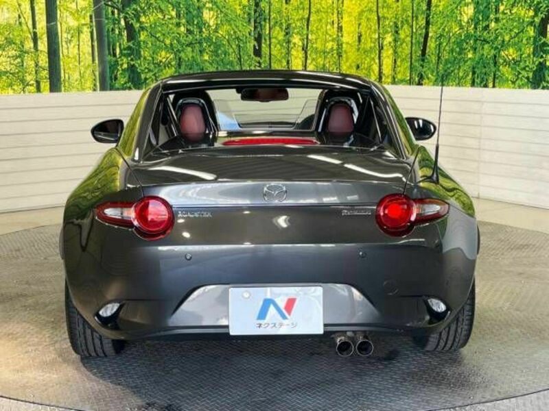 ROADSTER RF