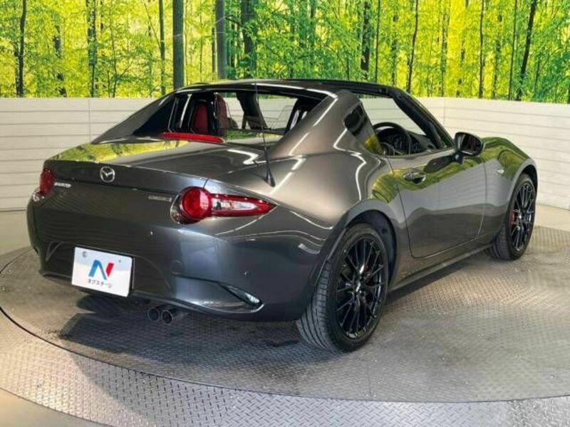 ROADSTER RF