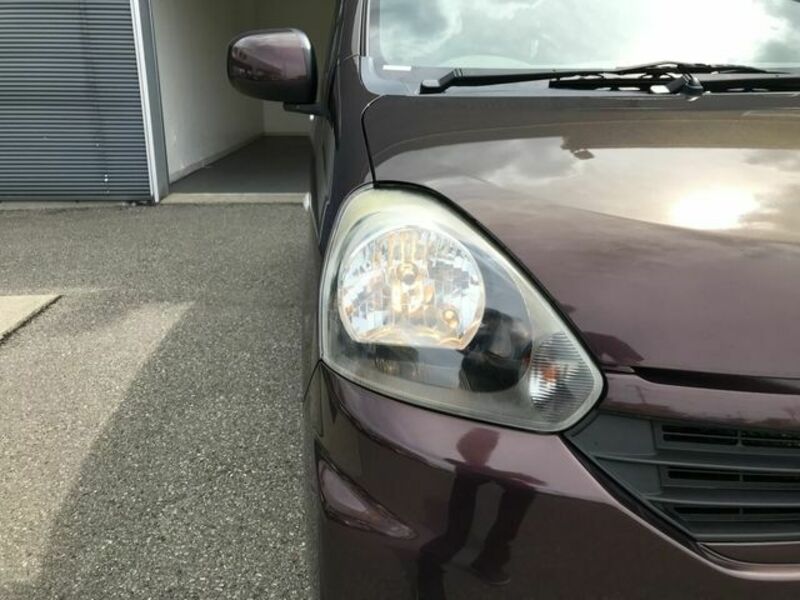PLEO PLUS-23