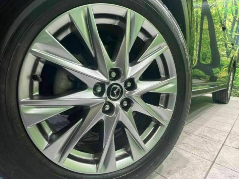 CX-8-8