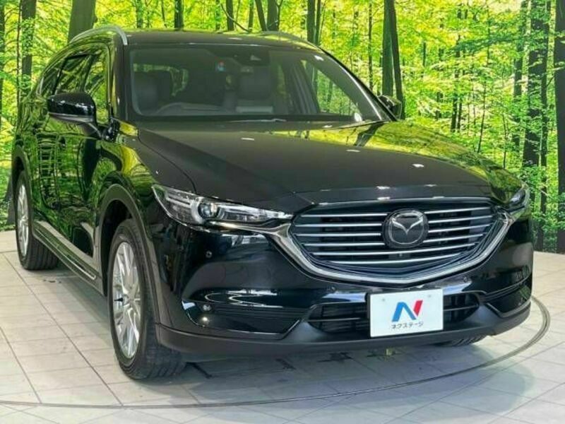 CX-8-15