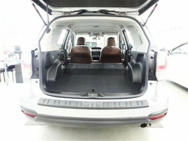 FORESTER-6