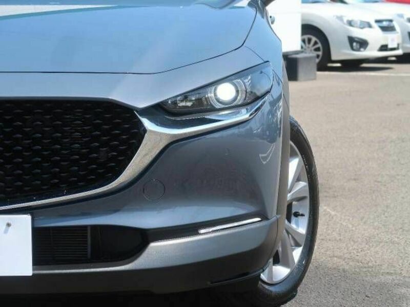 CX-30