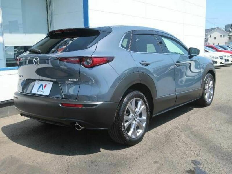 CX-30