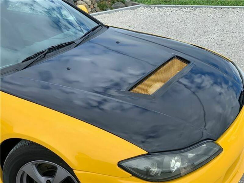 SILVIA