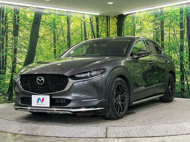 CX-30