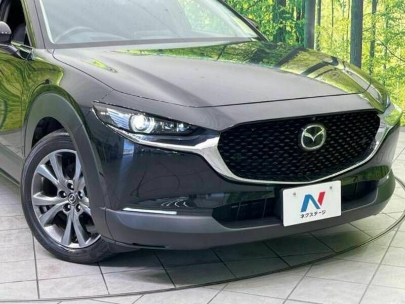 CX-30