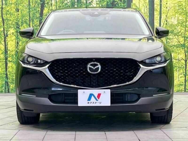 CX-30