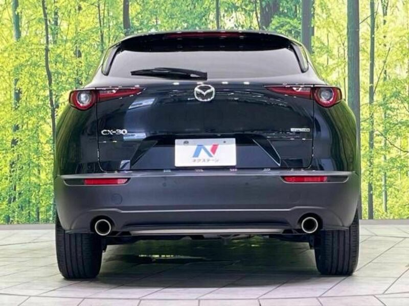 CX-30